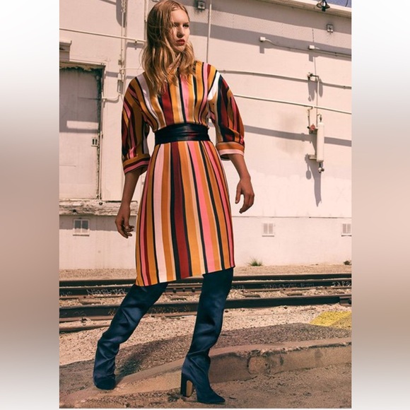 Zara Midi Striped Studio Dress - Picture 7 of 15